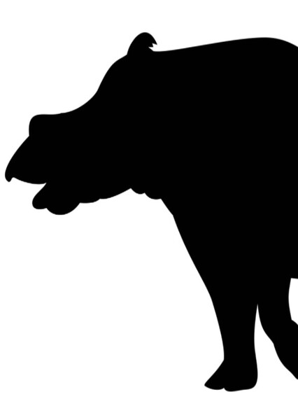 Gnathotherium