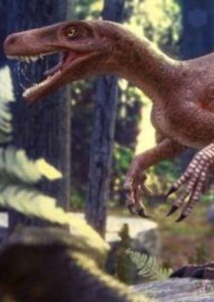 Gnathovorax photo
