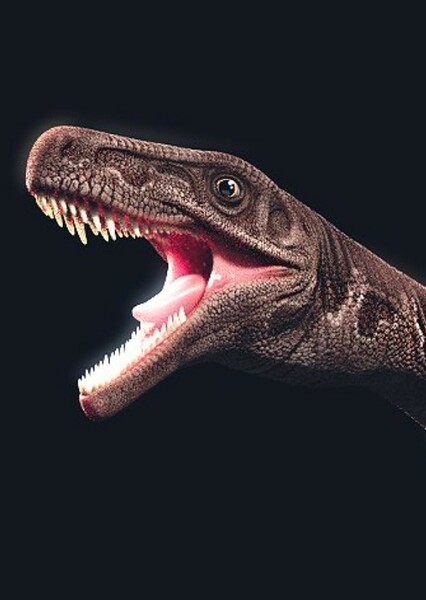 Gnathovorax photo