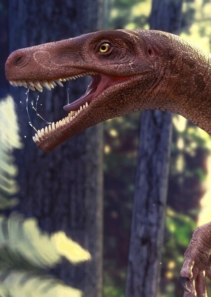 Gnathovorax photo