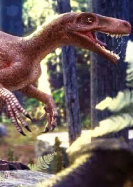 Gnathovorax photo