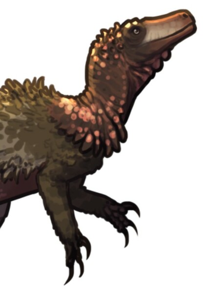 Gnathovorax photo