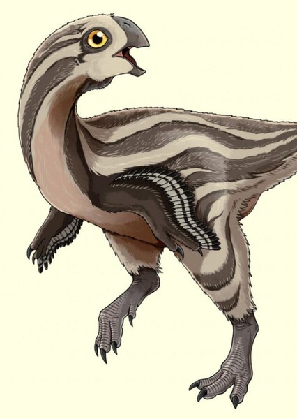 Gobiraptor