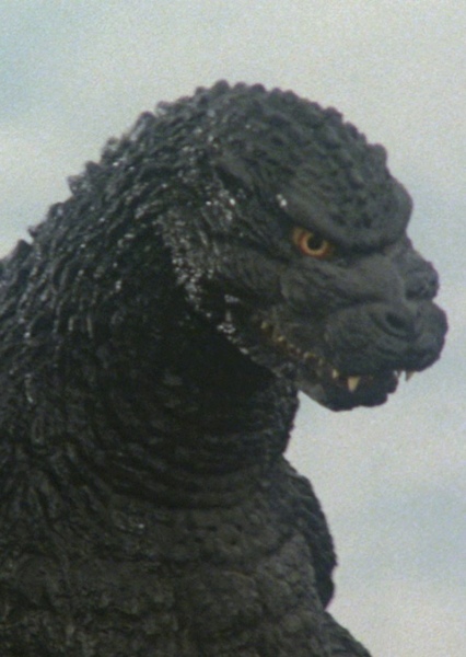 Godzilla photo