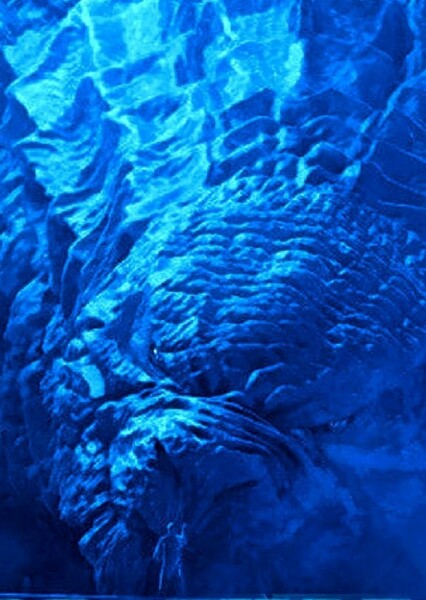 Godzilla (Monsterverse) photo