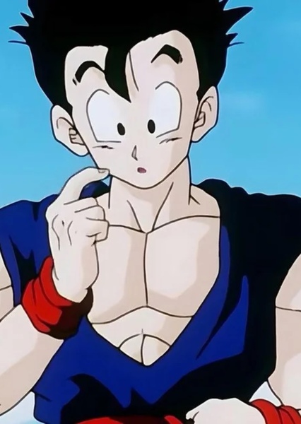Gohan photo