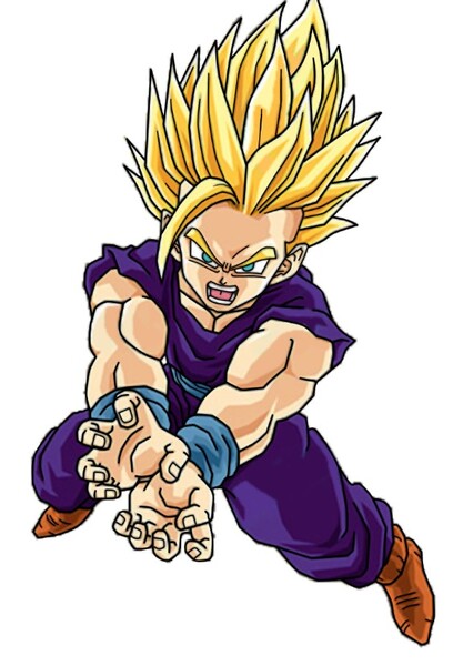 Gohan photo