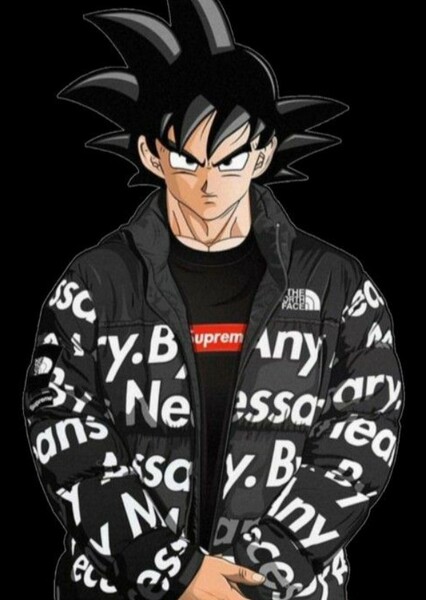 Goku photo