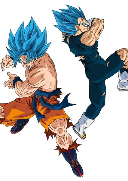 Goku and Vegeta photo