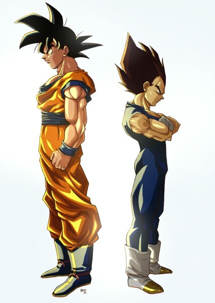 Goku and Vegeta photo