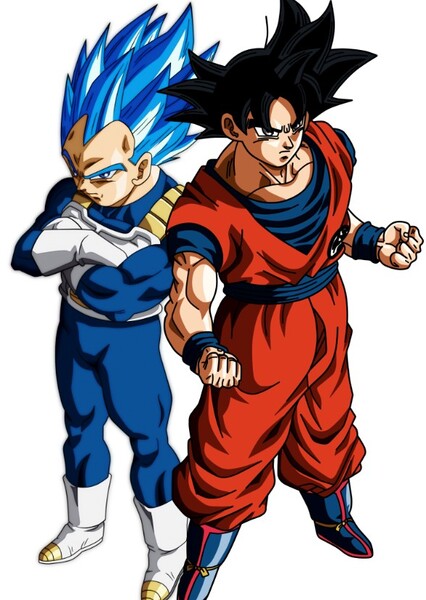 Goku and Vegeta photo