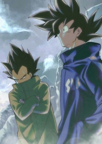 Goku and Vegeta photo