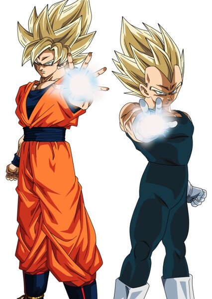 Goku and Vegeta photo