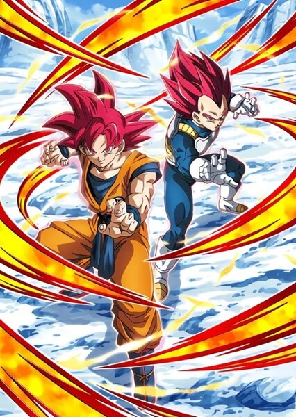 Goku and Vegeta photo