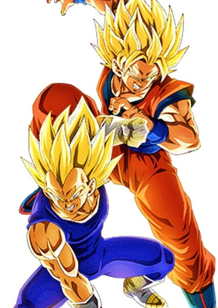 Goku and Vegeta photo