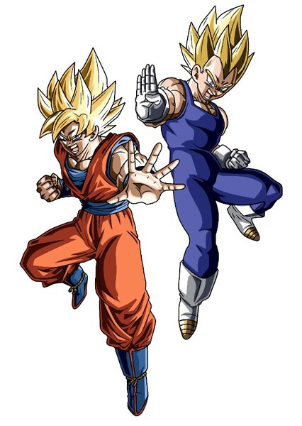 Goku and Vegeta photo