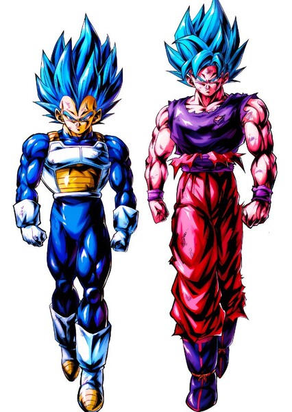 Goku and Vegeta photo