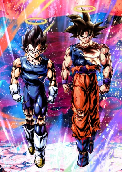 Goku and Vegeta photo
