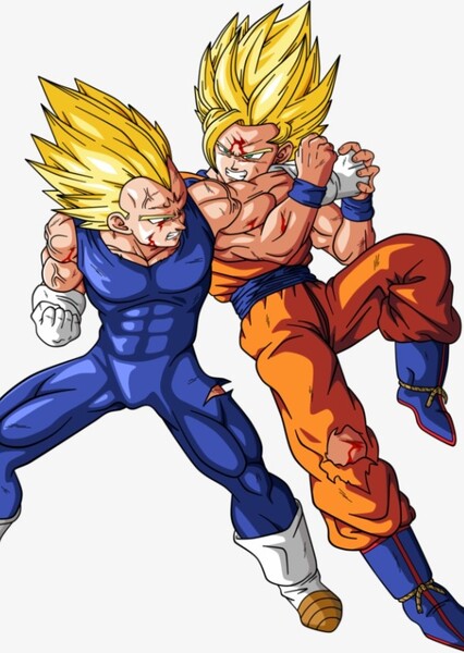 Goku and Vegeta photo