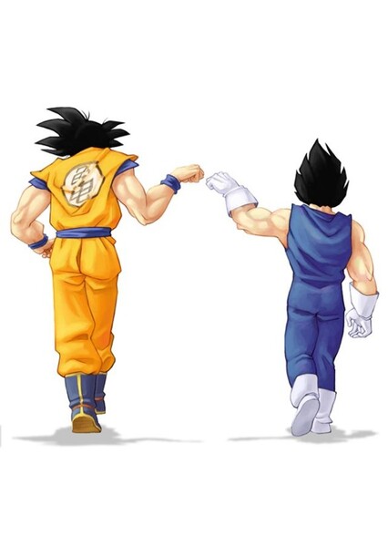 Goku and Vegeta photo