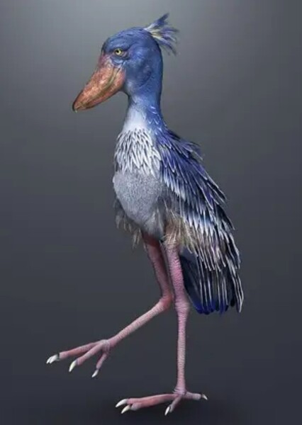 Goliathia