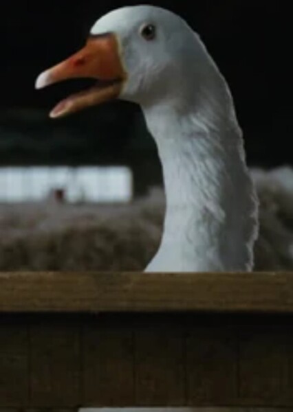 Golly the Goose (Charlotte's Web 2006)