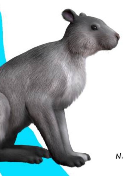 Gomphos