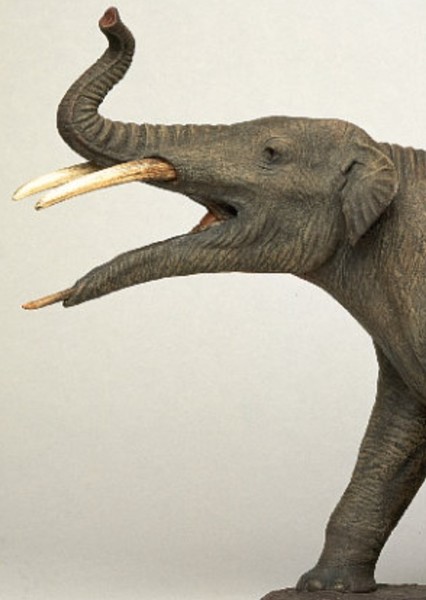 Gomphotherium photo
