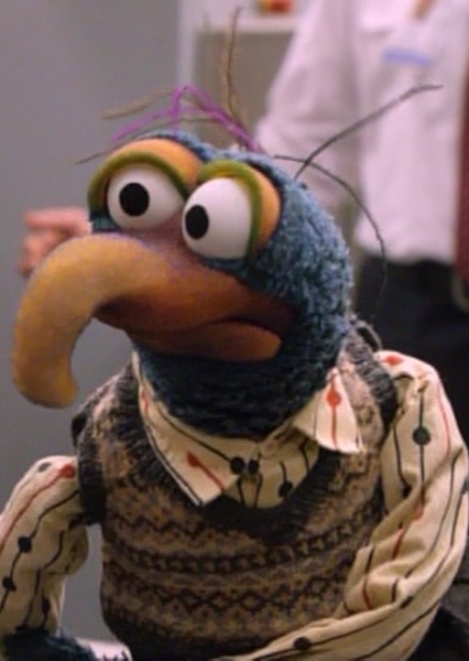 Gonzo (2002-2009) photo
