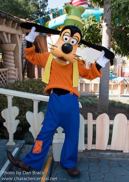 Goofy photo