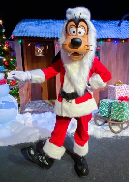 Goofy photo