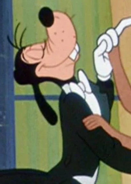 Goofy photo