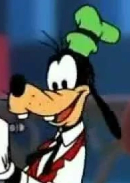Goofy photo