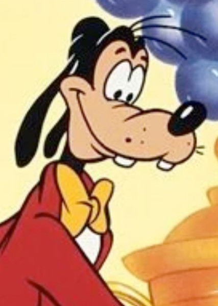 Goofy photo
