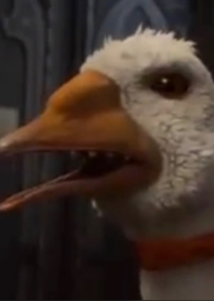 Goose