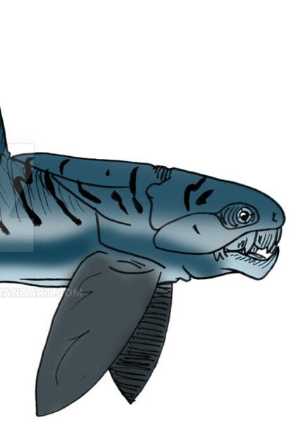 Gorgonichthys