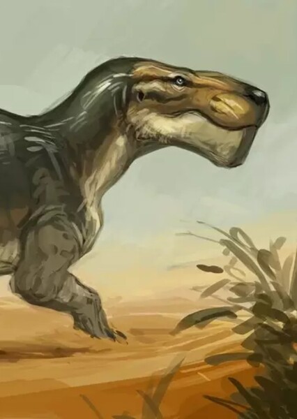 Gorgonops photo
