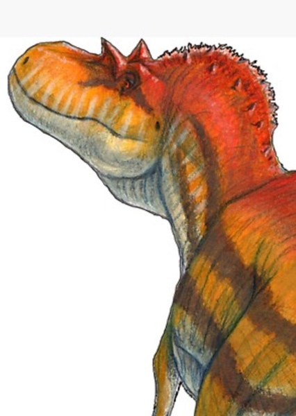 Gorgosaurus photo