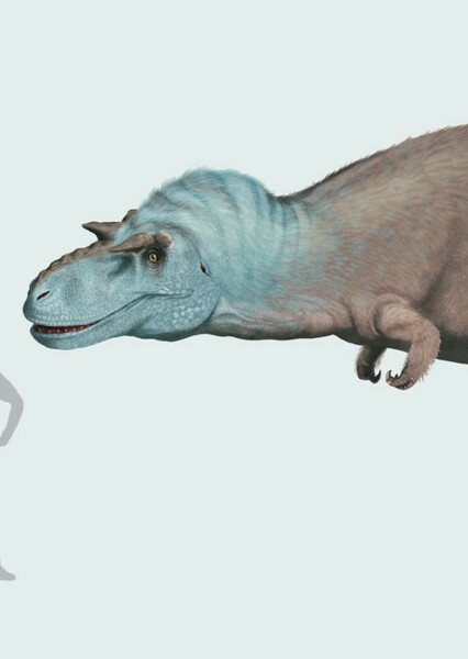 Gorgosaurus photo