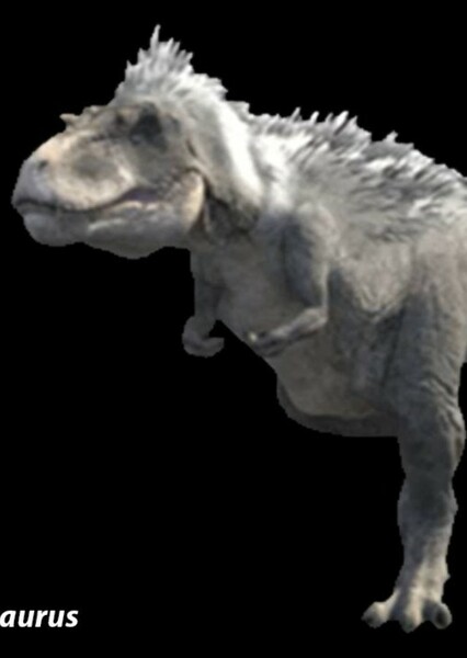 Gorgosaurus photo