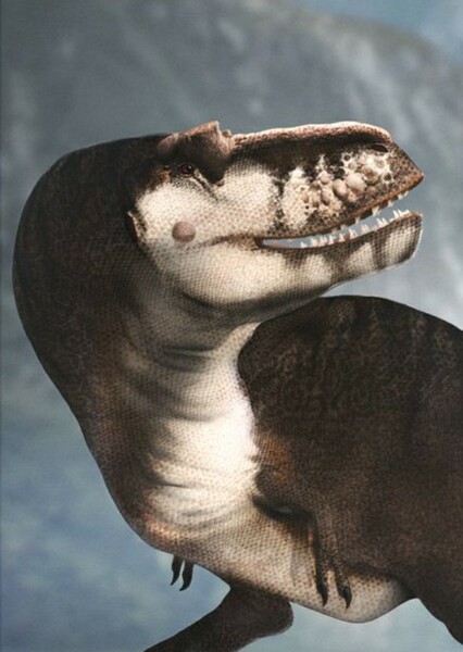 Gorgosaurus photo
