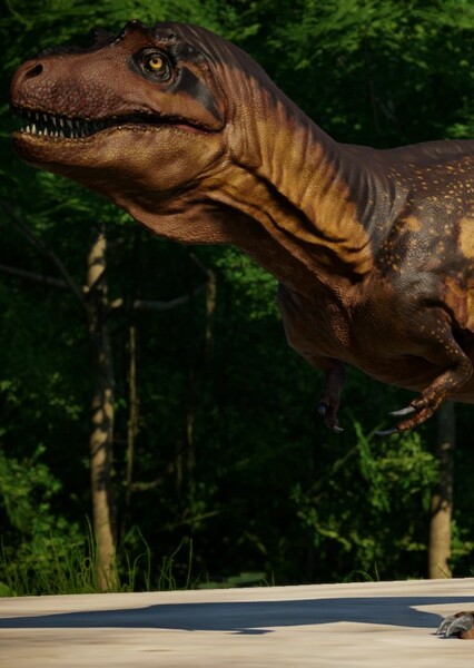 Gorgosaurus photo