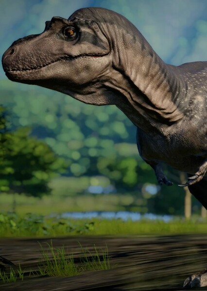 Gorgosaurus photo