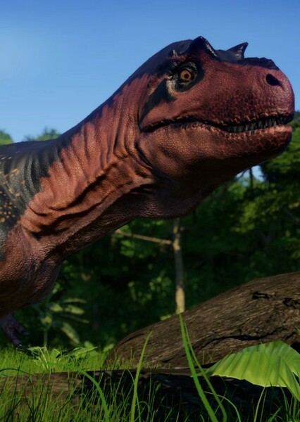 Gorgosaurus photo