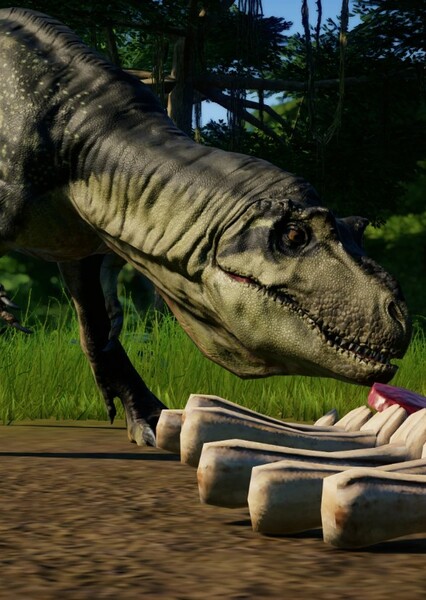 Gorgosaurus photo
