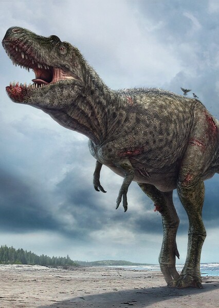 Gorgosaurus