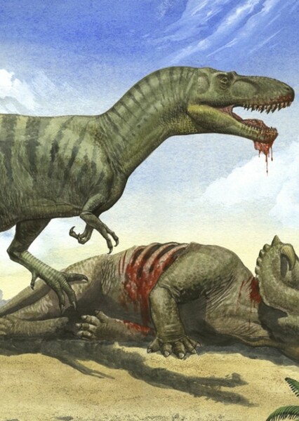 Gorgosaurus photo