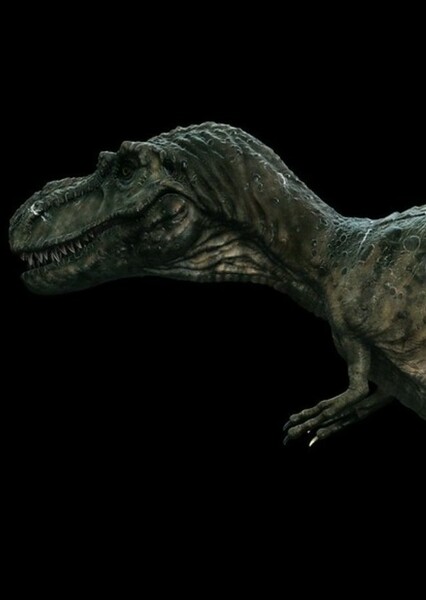 Gorgosaurus photo