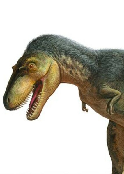 Gorgosaurus photo