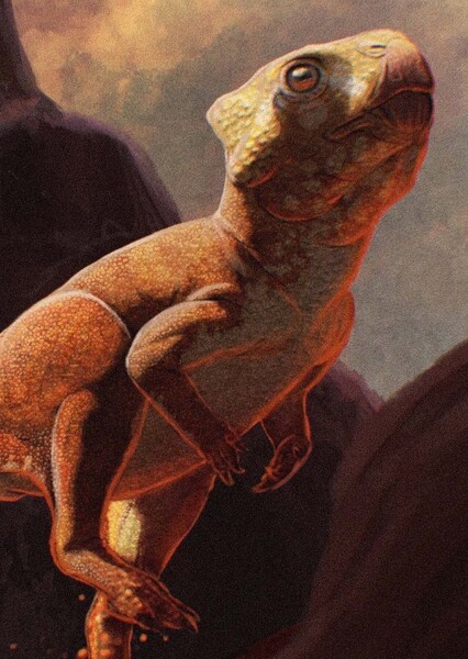 Graciliceratops